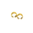 Hoop Earring