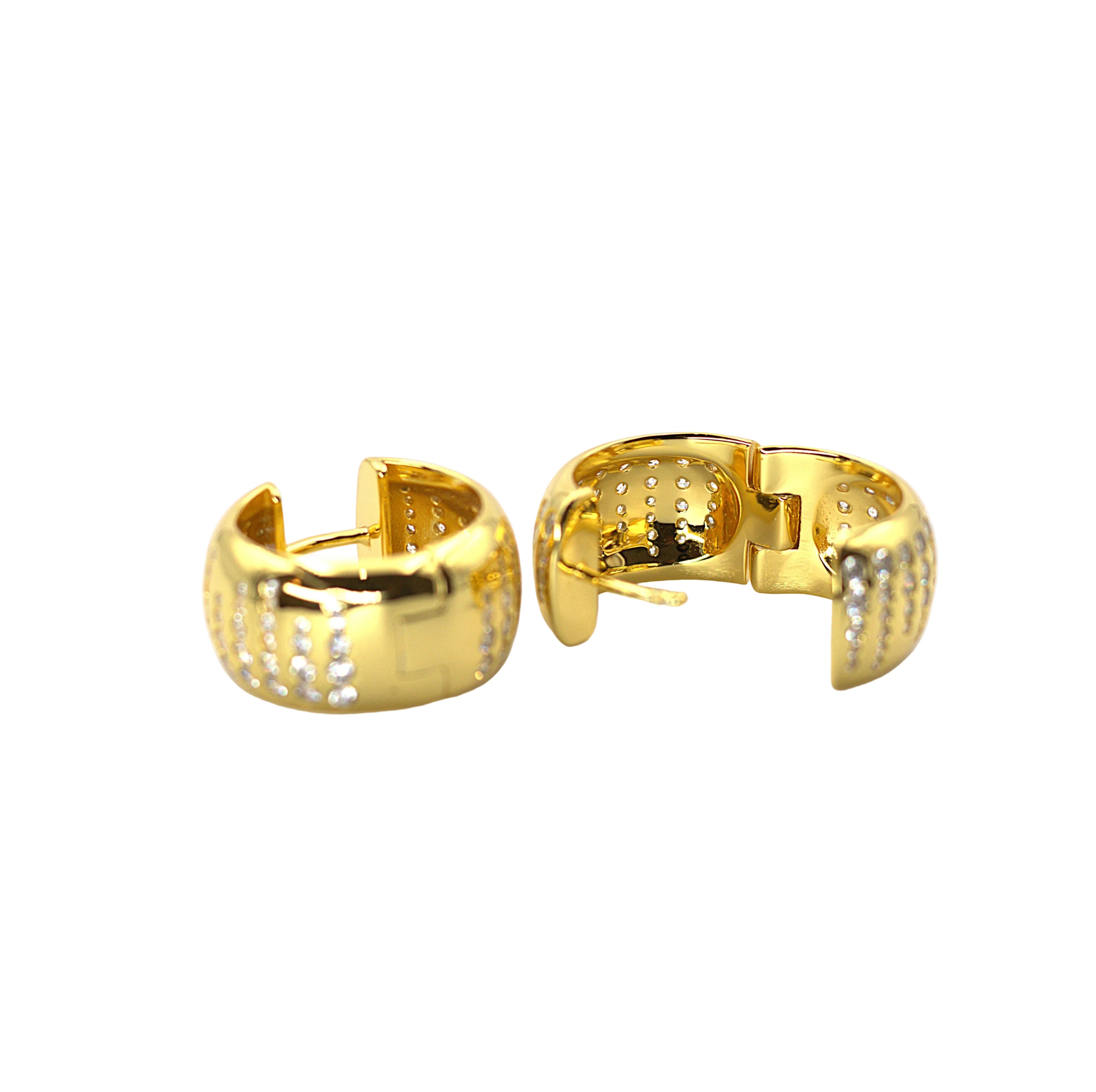Hoop Earring