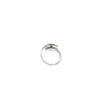 Initial ring